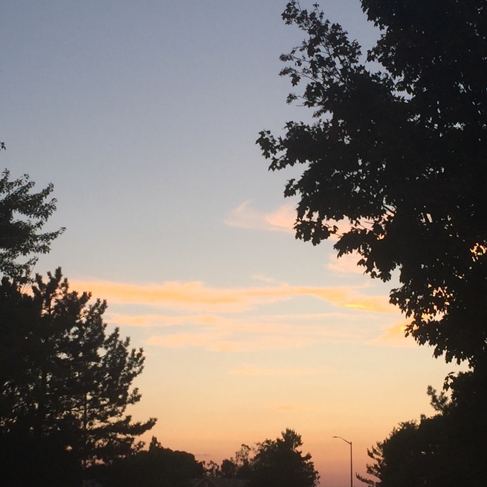 Meet your Posher, Lydia